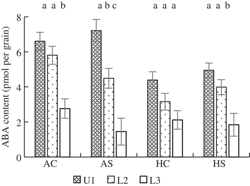 Figure 4. Mean grain ABA content of primary spikelets in the upper part of a panicle (U1) and in secondary (L2) and tertiary spikelets (L3) in the lower part of a panicle. The mean grain ABA content was between 6 and the day at which cumulative temperature reached 500°C days. Error bars represent standard error (n = 5). The same letters indicate no significant difference among spikelet positions in a treatment (Tukey’s test). AC: Ambient temperature without shading; AS: ambient temperature with shading; HC: high temperature without shading; HS: high temperature with shading.