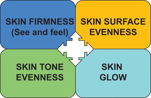 Figure 1 The four emergent perceptual skin quality categories (EPCs).