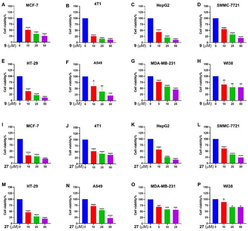 Figure 6. Effects of 9 and 27 on the viability of cancer cells. Cancer cells were treated with 9 (A–H) or 27 (I-P) for 48 h at indicated concentrations. Cell viability was determined by the MTT assay. The data represent the mean ± SD. *p < 0.05, **p < 0.01, ***p < 0.001 and ****p < 0.0001 by one-way ANOVA compared with vehicle-treated control group.