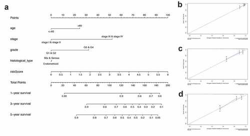 Figure 7. Construction and validation of a nomogram. (a) A nomogram to predict the probability of 1-, 3- and 5-year OS of UCEC patients. (b-d) Calibration curves of the nomogram to predict the probability of OS at 1, 3 and 5 years