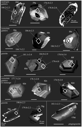 Figure 20. Selected cathodoluminesence (CL) images of dated zircon crystals. The textures are typical of igneous zircons. Homogenous areas of zircon crystals were selected for analysis, while rims were avoided. Scale bars are 50 μm long unless otherwise indicated. See text for explanation.