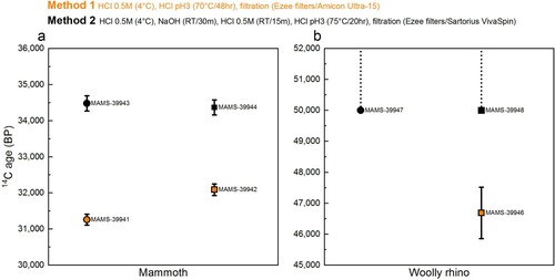 Figure 7. Comparison of radiocarbon dates from mammoth (a) and woolly rhino (b) collagen extracts pretreated with the Method 1 (orange) Method 2 (black) extraction protocols. Squares are whole bone samples and circles are bone powder samples. Error bars are 1σ.