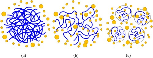 Figure 7. Schematic representation of the dissolution process for polymer molecules, blue lines represent polymer chains and yellow dots represent solvent molecules. (a) polymer molecules in solid state just after being added to a solvent; (b) a swollen polymeric gel; (c) solvated polymer molecules dispersed into a solution.