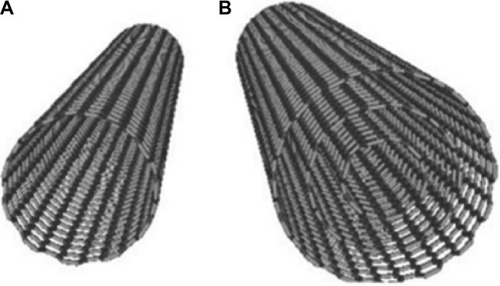 Figure 1 Different types of CNTs: (A) SWCNT and (B) MWCNT.Abbreviations: CNTs, carbon nanotubes; MWCNT, multiwalled carbon nanotube; SWCNT, single-walled carbon nanotube.