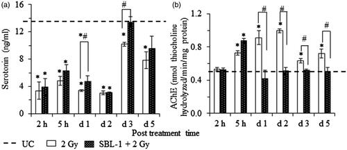 Figure 3. Radiation-induced changes and their modification by Hippophae leaf extract (SBL-1) on the levels of (a) serotonin and (b) acetylcholinesterase (AChE) in brain tissue of rats. Data are presented as mean ± SD of six rats in each group. *significantly different in comparison with untreated control (UC, group I) at p < 0.05 and #significantly different in comparison with 2 Gy (group II) at p < 0.05.