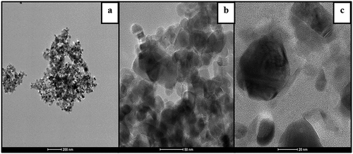 Figure 5. Different magnification of TEM images of silver incorporated cationized wet laid nonwoven (a) 200 nm (b) 50 nm (c) 20 nm.