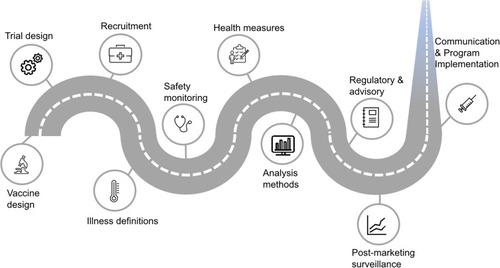 Figure 1 Roles for geriatricians arise across all stages in vaccine development, testing and implementation.