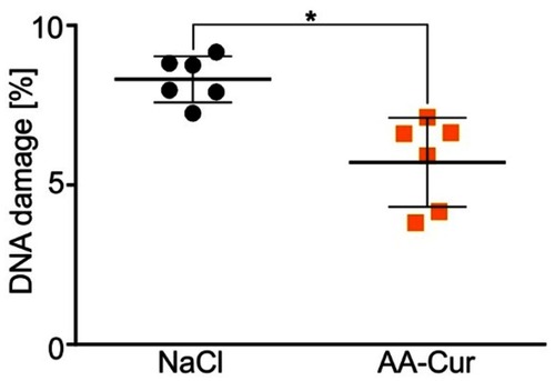 Figure 4 Comet assay analysis of DNA damage in bone marrow-derived cells isolated from C57BL/6 mice treated with AA-Cur.Notes: Animals were injected iv with 0.9% NaCl or AA-Cur (70 mg/kg bm). Administrations were repeated once a week for 4 weeks. Animals were euthanized on 30th day of the experiment and bone marrow-derived cells were isolated. Percentage of DNA in the comet tail (% DNA damage) was analyzed for two slides per sample and 50 cells from each slide were randomly selected for analysis. Each point represents individual mouse. The line for each group represents the mean ± SD (n=6). *P<0.05.Abbreviation: AA-Cur, alginate-curcumin conjugate.