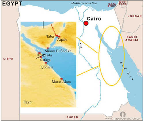 Figure 1 Map of Egypt displaying the location of the Red Sea Governorate and its cities. Site of the study is Quseir City adapted from https://freesvg.org/1546672123.Citation18