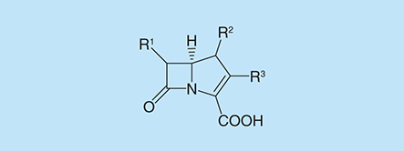 Figure 1. Carbapenem backbone structure.