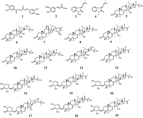Figure 1. Structures of isolated compounds 1–19 from C. dahurica.