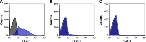 Figure 6 Histogram profiles of (A) A2, (B) A3, and (C) AX RBCs when incubated with QDs-anti-A (blue).Notes: Control cells are represented in black. The X-axis represents FL2 filters (585 nm/21 nm) of the flow cytometer and the Y-axis represents cell counts.Abbreviations: QDs, quantum dots; RBCs, red blood cells.