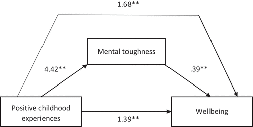 Figure 1. Direct and indirect effects.