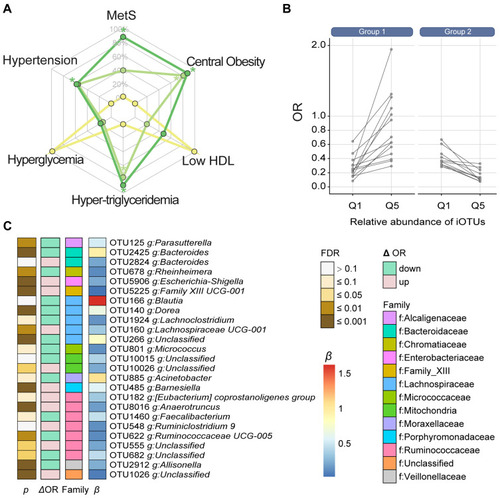 Figure 4 Effects of microbial interactions on the Akkermansia–MetS association. (A) Associations of MetS and its components with 3 Akkermansia OTUs. (B) Groups of iOTUs according to their effects on the Akkermansia–MetS association. Interactions were visualized by changes in the protective effect of Akkermansia against MetS (ORs) when the abundance of iOTUs increased from Q1 to Q5. ORs were estimated by logistic regression in which the abundance of Akkermansia was treated as a continuous variable. (C) Annotation of iOTUs at the family and genus levels. β and FDR were estimated with the multivariate linear regression. Equation: ΔOR=OR(iOTUatQ5)−OR(iOTUatQ1).