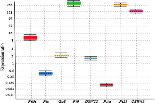 Figure 4. Relative expression levels of Pikh, Pib, Os11gRGA8 (GA8), OsWRKY22 (Osw22), Pita, Pi21 and OsWRKY45 (Osw45) genes calibrated using 18S rRNA/tubulin reference genes in infected and control MR276 plants by relative quantitative real-time PCR.