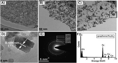 Figure 2. Hybrid graphene/Fe3O4 composites made by solvothermal reaction at 180°C. (A,B,C) TEM analysis of hybrid graphene/Fe3O4 composites made by solvothermal reaction at 4, 8, and 16 h, respectively; (D) HRTEM vision of boxed region of (C); (E, F) the subsequent SAED pattern and conventional EDS pattern of the hybrid composite graphene/Fe3O4. Reprinted from (Citation13) © 1999, the Royal Society of Chemistry.