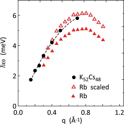 Figure 7. Dispersion relation of the collective longitudinal mode in K 52Cs 48 [Citation64] (dots) compared with pure Rb (triangles) [Citation63]. The dispersion relation of pure Rb after scaling by the effective alloy mass is also shown (empty triangles)