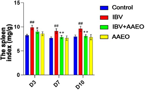 Figure 4. Effect of AAEO on the spleen following IBV infection. The spleens were collected from eight broilers per group on days 3, 7, and 10. The body weights were measured, and the lung indices were calculated. ##P < 0.01 versus the control group; *P < 0.05, **P < 0.01 versus the IBV group.