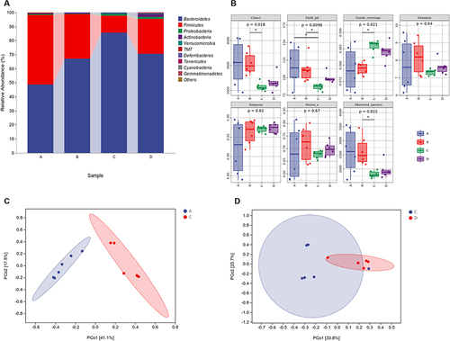 Figure 3 The relative abundance of gut microbiota at the phylum level, α diversity index and β diversity index. (A). The relative abundance of gut microbiota in the four groups at the phylum level. (B). There was a significant difference in Faith’s PD between the control group and the chronic colitis group (*P<0.05), and there was no significant difference in the Chao 1 index, Shannon index, Good’s coverage index, Simpson index, Pielou’s evenness index, and observed species (P>0.05). (C). The difference in β diversity between the control group (Group A) and the chronic colitis group (Group C) was statistically significant (P<0.05). (D). The difference in β diversity between the chronic colitis group (Group C) and the chronic colitis + selenium yeast group (Group D) was statistically significant (P<0.05).