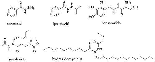 Figure 1. Structures of hydrazide-based commercial drugs and natural biologically active agents.