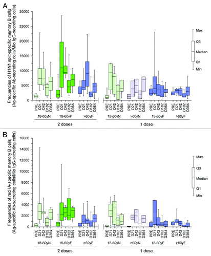 Figure 4. (A) split H1N1-specific memory B cell frequencies at Month 6 and Month 12 in subjects aged 18−60 y and > 60 y following one or two vaccine doses by previous influenza vaccination history (ATP cohort for persistence). (B) recHA specific memory B cell frequencies at Month 6 and Month 12 in subjects aged 18−60 y and > 60 y following one or two vaccine doses by previous influenza vaccination history (ATP cohort for persistence). N, without influenza vaccination during previous three seasons; F, with previous influenza vaccination