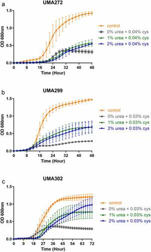 Figure 1. B. infantis biomass accumulation while utilizing urea as a nitrogen source. UMA272 (a), UMA299 (b), and UMA302 (c) growth on urea as the primary nitrogen source. Three biological replicates were evaluated with results presented as mean ± SD. cys, L-cysteine.