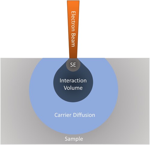 Figure 4. Zones within a material where the secondary electrons (SE) are emitted, interaction volume is located, and carrier diffusion occurs. The sizes of the respective zones are not to scale but instead represent the increasing volume of material covered by each successive zone.