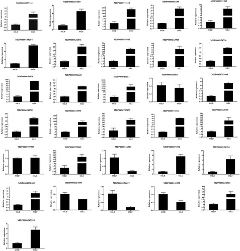 Figure 2. qRT-PCR verification of differentially expressed genes.