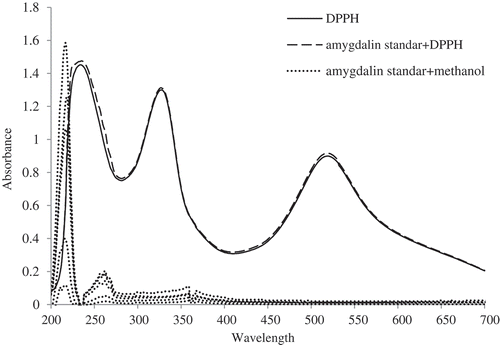 Figure 3. Scanned spectral about the effect of amygdalin (0.1, 0.25, 0.5, 0.75, 1 mg/mL) on the DPPH˙ scavenging capacity.Figura 3. Espectral escaneado en torno al efecto de la amigdalina (0.1, 0.25, 0.5, 0.75, 1 mg/mL) en la capacidad de eliminar el radical DPPH.