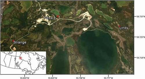 Figure 1. Location of three wetlands near Churchill, Manitoba, Canada, where we tracked the movements and habitat use of wood frogs