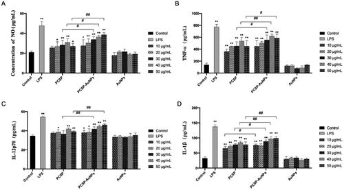 Figure 4. The activation of PCSP and PCSP-AuNPs to RAW264.7 in vitro. The secretion of NO (A), TNF-α (B), IL-12p70 (C) and IL-1β (D). *p < 0.05, **p < 0.01, compared to the control group; #p < 0.05, ##p < 0.01, compared to the PCSP group.