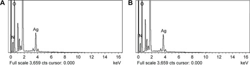 Figure 10 EDX spectra of AgNPs.Notes: (A) CE-mediated AgNPs. (B) WPE-mediated AgNPs.Abbreviations: EDX, energy dispersive X-ray; AgNPs, silver nanoparticles; CE, callus extract; WPE, whole plant extract; cts, counts time per second.