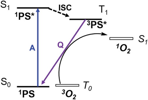 Figure 2.3.1. Jablonski diagram of the formation of 1O2 from 3O2 quenching the excited state triplet of the photosensitizer (3PS*). Absorption (A) in 1PS forms 1PS*, which can intersystem cross (ISC) to 3PS*. Quenching (Q) of 3PS* by 3O2 then forms 1O2 and reforms 1PS