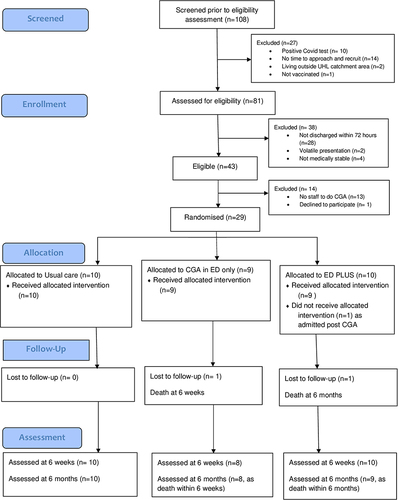 Figure 2 CONSORT extension for pilot and feasibility trials flow chart.