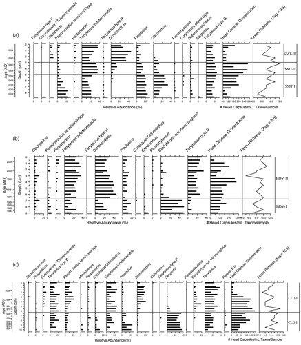 FIGURE 4. Chironomid stratigraphies for (a) Smith, (b) Birdeye, and (c) Cold Lakes. The order is based on the lakes' location from north to south (matching Fig. 7). Taxa have been arranged according to their mean July air temperature (MJAT) optima from the chironomid-based inference model, with decreasing optima temperature from left to right. Horizontal lines divide chronozones, as identified in the text. Abbreviations for chironomid taxa: Psectrocladius semi/sordi-type = Psectrocladius semicirculatus/sordidellus.