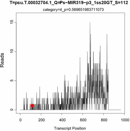 Figure 5. Target-plots of PsmiR319-regulated mRNA and degradome sequencing.