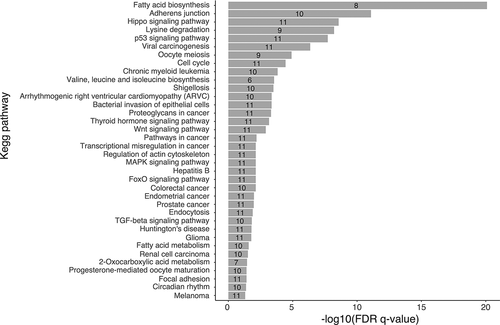 Figure 5. Biological pathway analysis of the 11 selected miRNAs. Pathways were identified through pathway union a posteriori method in DIANA miRpath [Citation51]. The x-axis shows -Log10 of FDR q-value. Pathways were considered significant at FDR q-value < 0.05. The numbers in the histogram bars represent the number of selected miRNAs associated with each biological pathway are identified in each bar.