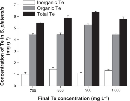 Figure 1 Accumulation of tellerium (Te) in Spirulina platensis cultured with different concentrations of Te.