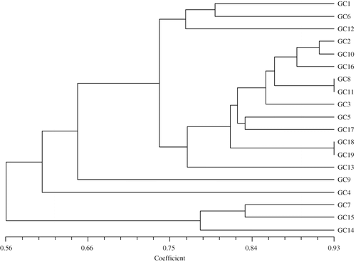 FIGURE 3. Dendrogram showing genetic relationship between the control and gamma radiation–induced variants in banana var. Giant Cavendish. GC1, 5 Gy; GC2, 5 Gy; GC3, 30 Gy; GC4, 30 Gy; GC5, 30 Gy; GC6, 30 Gy; GC7 and 8, tissue culture–derived control plant; GC9 and 10, 30 Gy; GC11, 5 Gy; GC12, 5 Gy; GC13 to GC15, 10 Gy; GC16 and 17, 5 Gy; GC18, tissue culture–derived control, early-flowering plant; GC19, sucker-derived control plant.