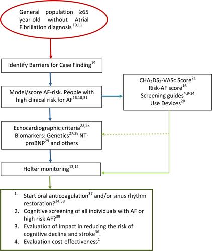 Figure 1 Atrial fibrillation Primary Care Pathway (proposal).