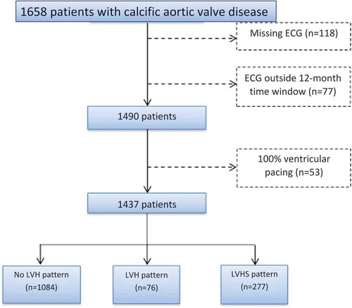 Figure 2. Flowchart of inclusion of calcific aortic valve disease patients, according to the presence of LV hypertrophy and strain pattern on ECG. ECG, electrocardiogram; LVH, left ventricular hypertrophy; LVHS, left ventricular hypertrophy with strain.
