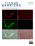 Cover image for Tissue Barriers, Volume 1, Issue 4, 2013