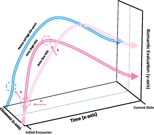 Figure 12. A dyadic illustration of the actor and partner effects predicted by Hypotheses 1 and 2 in the sociosexuality trajectory model. Note. The illustration depicts three effects that are predicted to emerge by shifting the actor (pink trajectory) from low (faded line) to high (bright line) sociosexuality. 1 = the positive actor effect of sociosexuality on the actor’s own ascent; 2 = the positive partner effect of sociosexuality on the partner’s (blue trajectory) ascent; 3 = the negative actor effect of sociosexuality on the actor’s own peak.