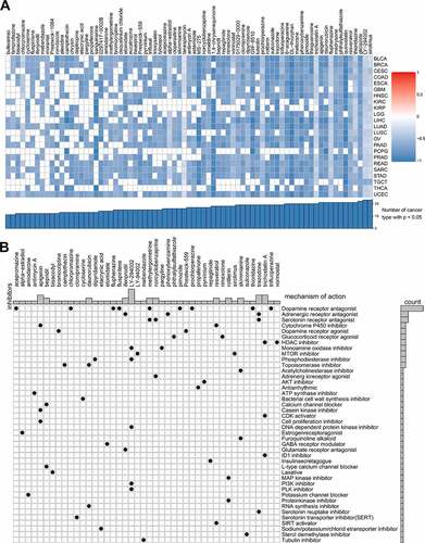 Figure 8. Correlation of glycolysis with drug resistance: connectivity map analysis