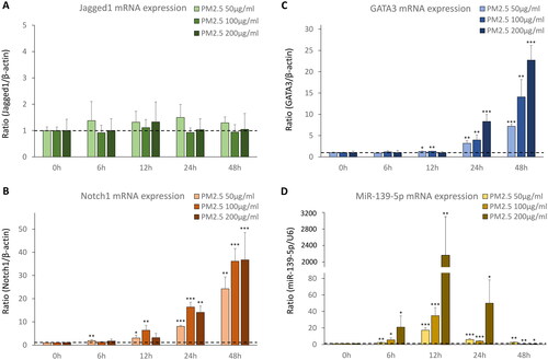 Figure 2. The mRNA expression of Notch1-GATA3 pathway and miR-139-5p during acute PM2.5 exposure (n = 4). *p < 0.050, **p < 0.010, ***p < 0.000, compared with 0h group as control.