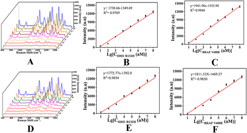 Figure 10 (A) SERS spectra of IDH1 R132H and BRAF V600E with different concentrations in PBS buffer (10 aM, 100 aM, 1 fM, 10 fM, 100 fM, 1 pM, 10 pM and 100 pM). (B) Calibration curve of peak intensities at 1078 cm−1 versus logarithm of IDH1 R132H concentration and (C) calibration curve of peak intensities at 1362 cm−1 versus logarithm of BRAF V600E concentration. (D) SERS spectra of IDH1 R132H and BRAF V600E with different concentrations in serum (10 aM, 100 aM, 1 fM, 10 fM, 100 fM, 1 pM, 10 pM and 100 pM). (E) Calibration curve of peak intensities at 1078 cm−1 versus logarithm of IDH1 R132H concentration and (F) calibration curve of peak intensities at 1362 cm−1 versus logarithm of BRAF V600E concentration.