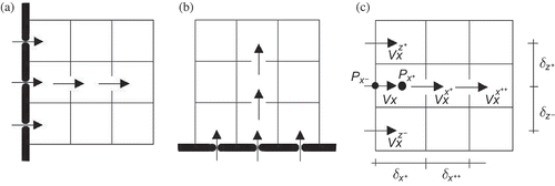 Figure 2. Boundary layer for (a) x and (b) z velocity, and grid for the (c) x momentum equation on the west boundary.