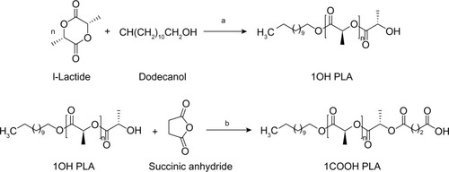 Figure 1 Synthesis route for end functional PLA showing a) zinc proline at 180°C, b) succinic anhydride, TEA, DMAP at room temperature.Abbreviations: COOH-PLA, carboxyl-terminated PLA; DMAP, 4-dimethylaminopyridine; OH-PLA, OH-terminated polylactide; PLA, polylactide; TEA, triethylamine.