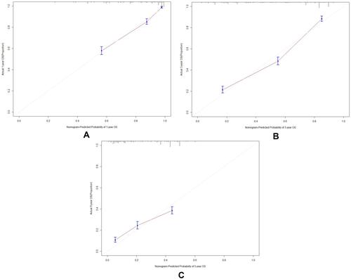 Figure 5 (A–C) Calibration curves of validation cohort for the nomogram predictions of the 1-, 3- and 5-year overall survival.