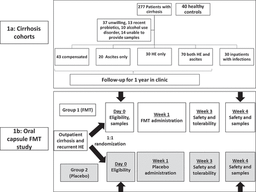 Figure 1. Schema of both studies A) Non-trial cohort. B)FMT trial